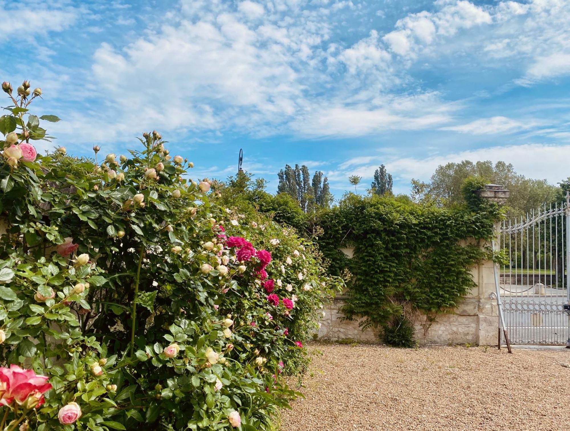 Maison Adrienne Saint-Aignan  Exterior foto